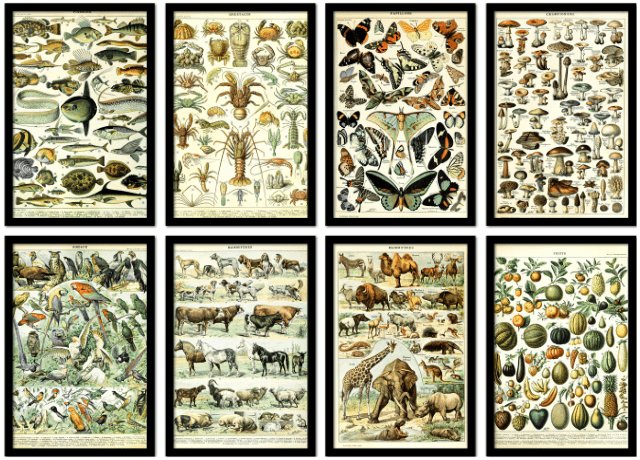 Poster met lijst vintage